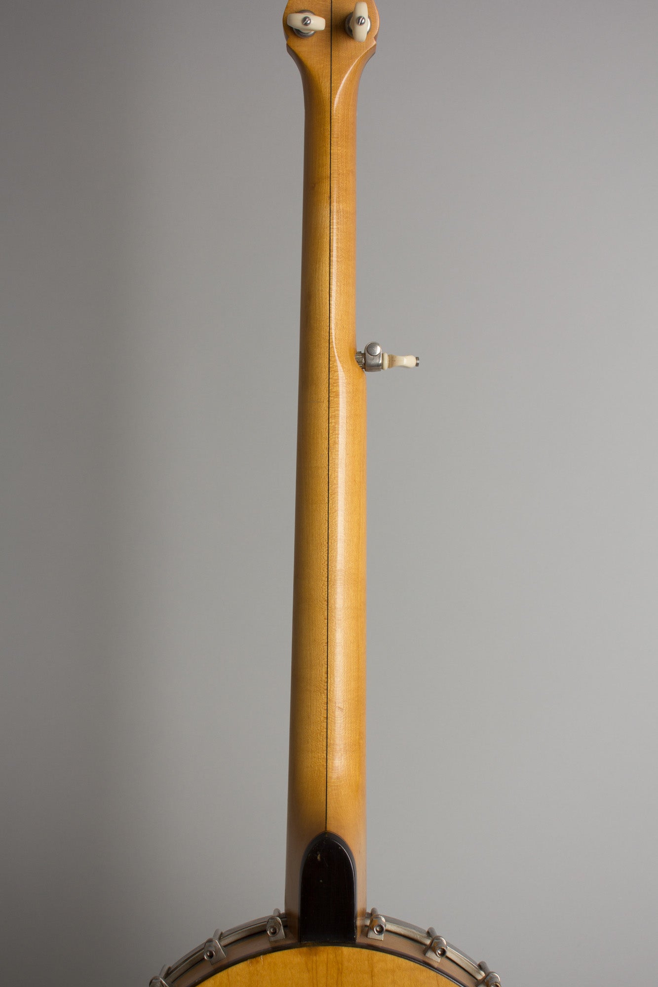 Bart Reiter Professional 5 String Banjo