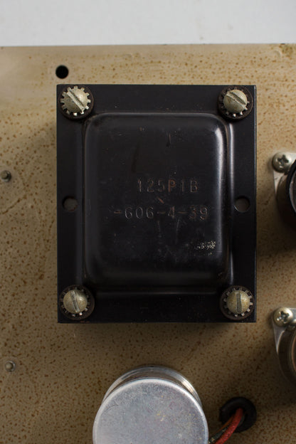Fender Princeton A-964 Tube Amplifier (1964)