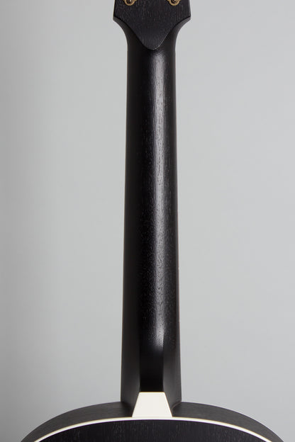 Iris OG Flat Top Acoustic Guitar (2023)