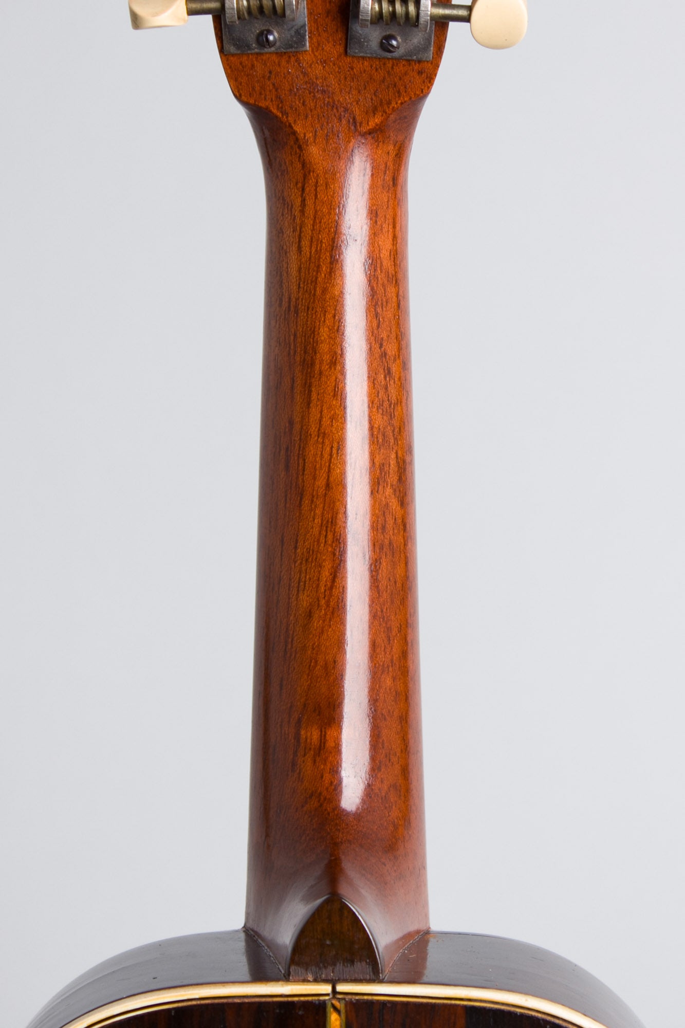 Lyon & Healy American Conservatory Mandolinetto (1912)
