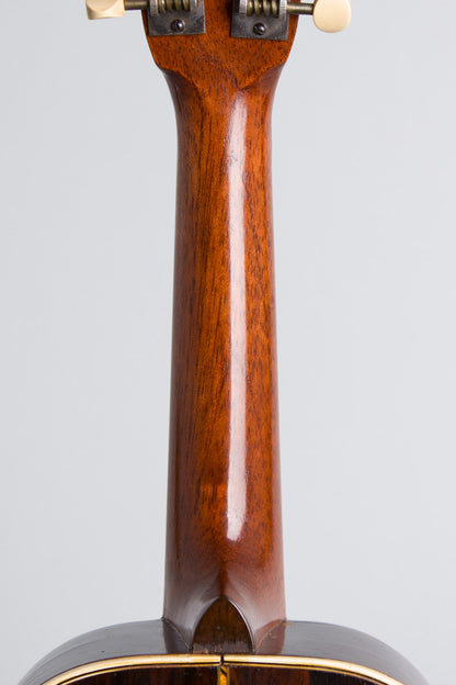 Lyon & Healy American Conservatory Mandolinetto (1912)