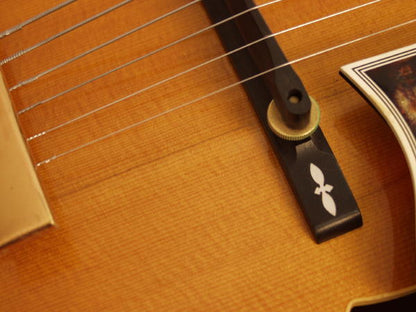 Gibson Johnny Smith Arch Top Hollow Body Electric Guitar (1965)
