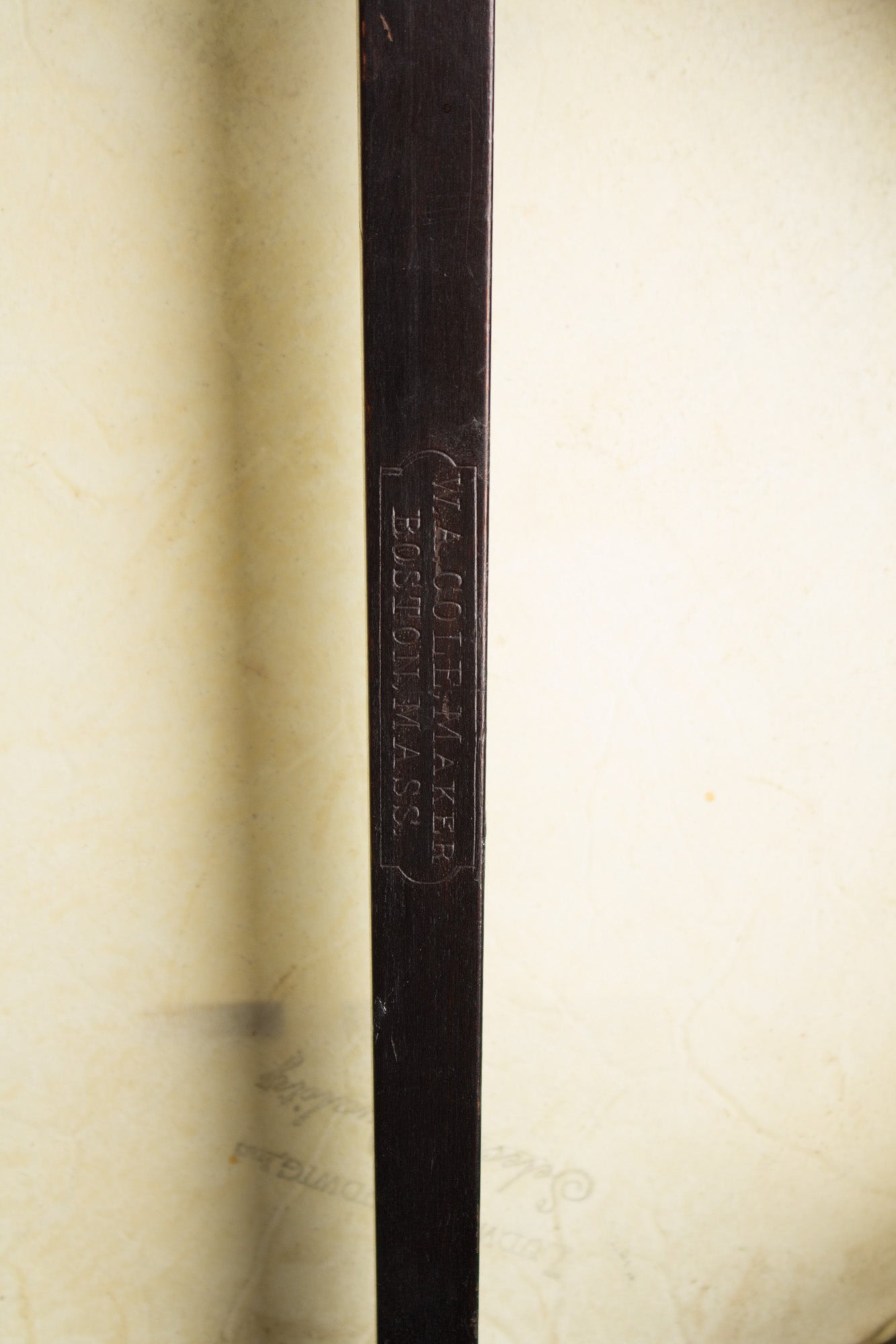 W. A. Cole 5 String Banjo (1892)