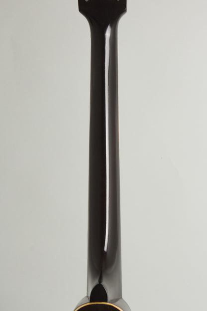 Gibson K-1 Carved Top Mandocello (1924)