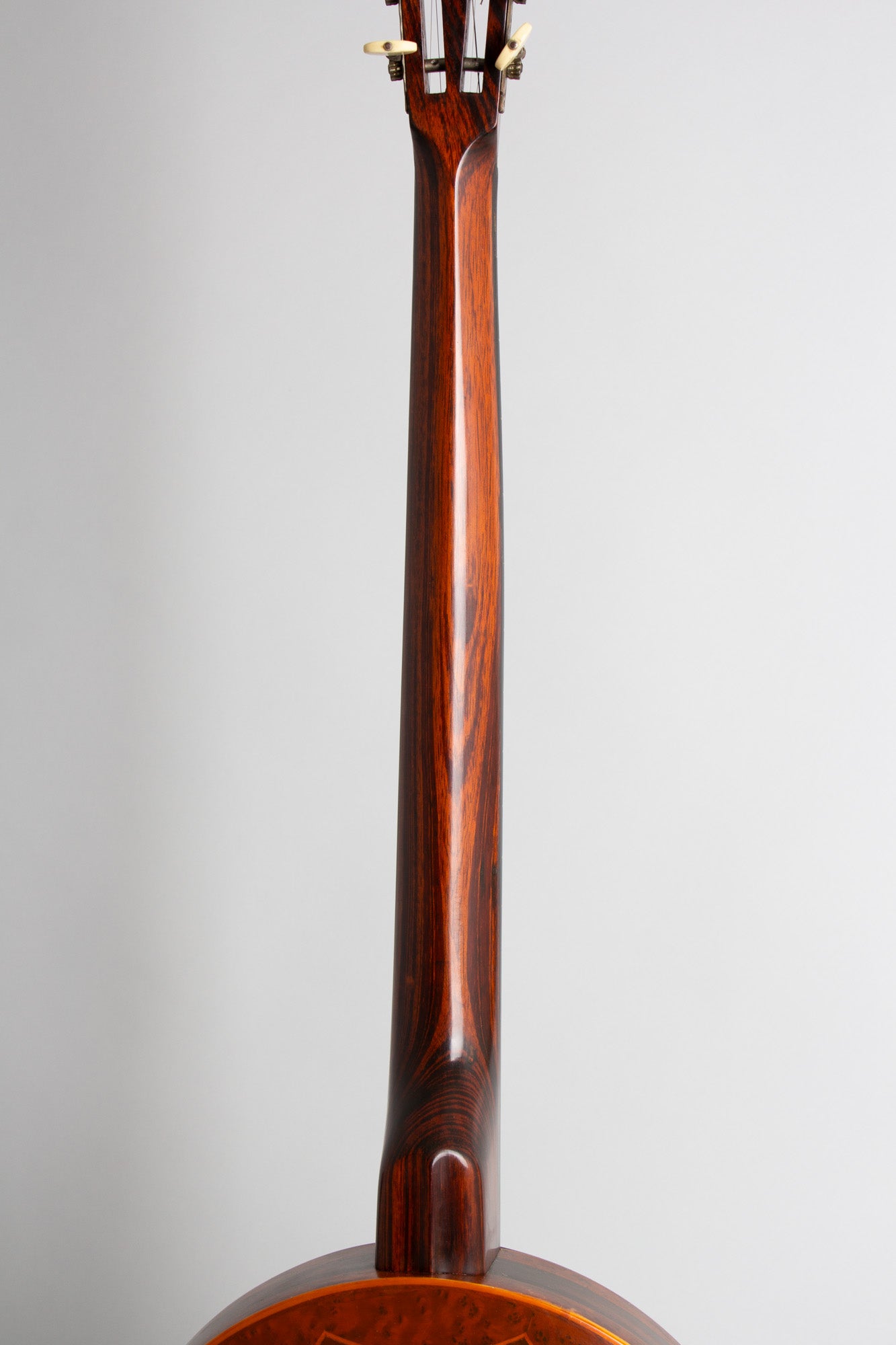 Cammeyer Vibrante 5 String Zither Banjo (1920)