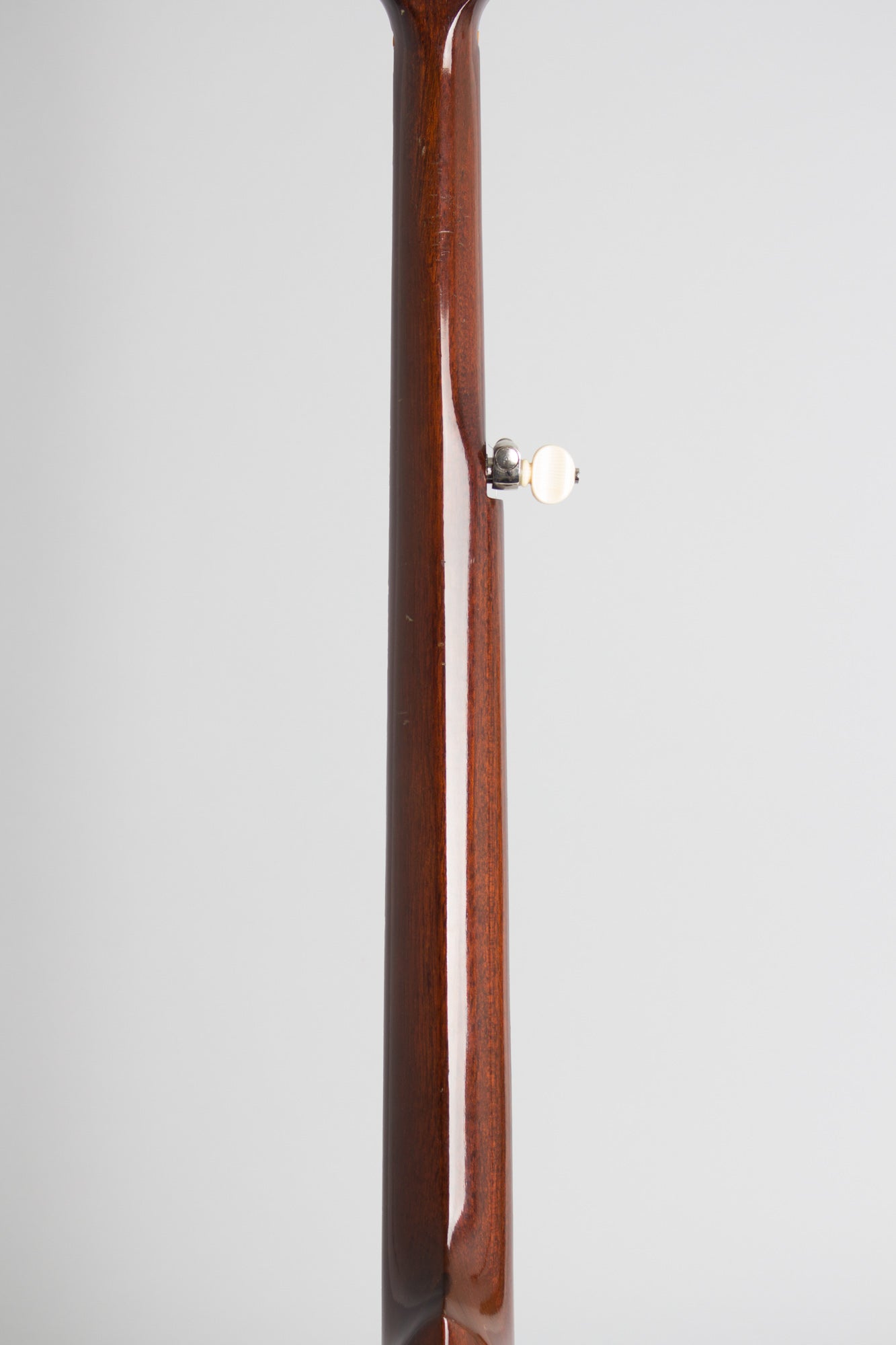 W. A. Cole Eclipse #3000 5 String Banjo (1896)