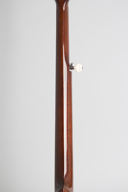 W. A. Cole Eclipse #3000 5 String Banjo (1896)
