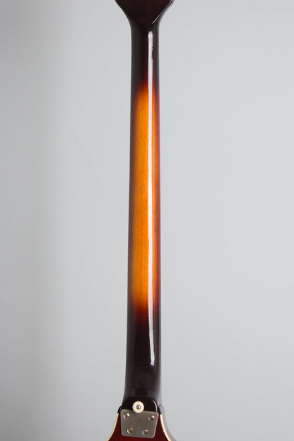 Hoyer Model 43 London Bass Semi-Hollow Body Electric Bass Guitar (1967)