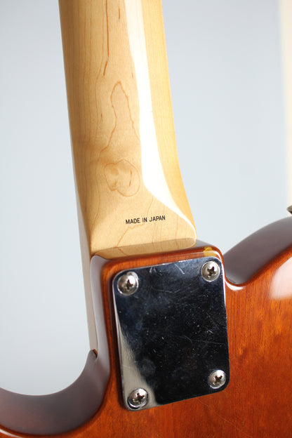 Fender Telecaster Thinline 1969 Re-Issue Solid Body Electric Guitar (1985)