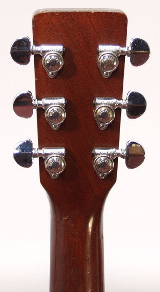 C. F. Martin D-21 Flat Top Acoustic Guitar (1969)