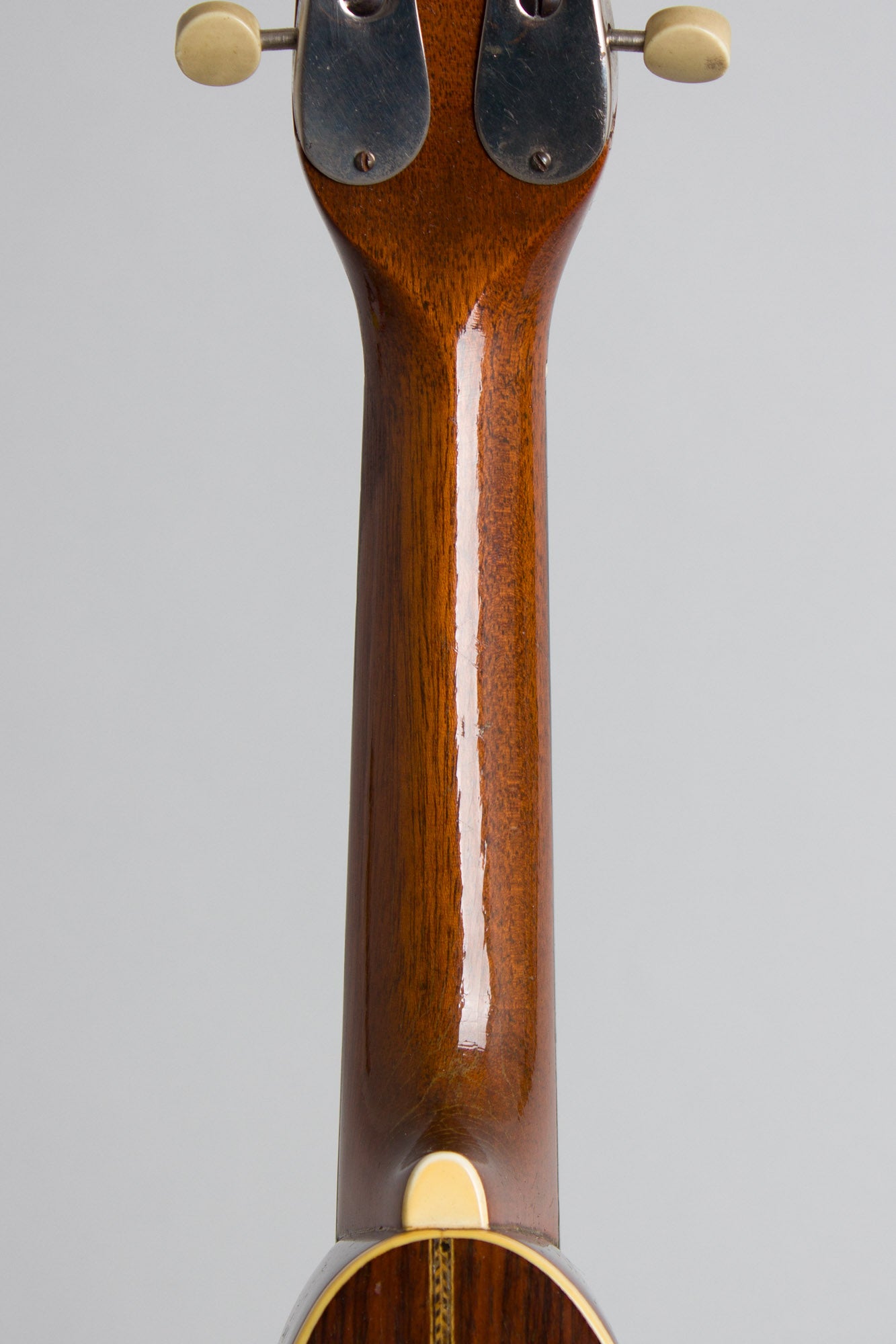 Favilla Flat Back, Bent Top Mandolin (1920s)