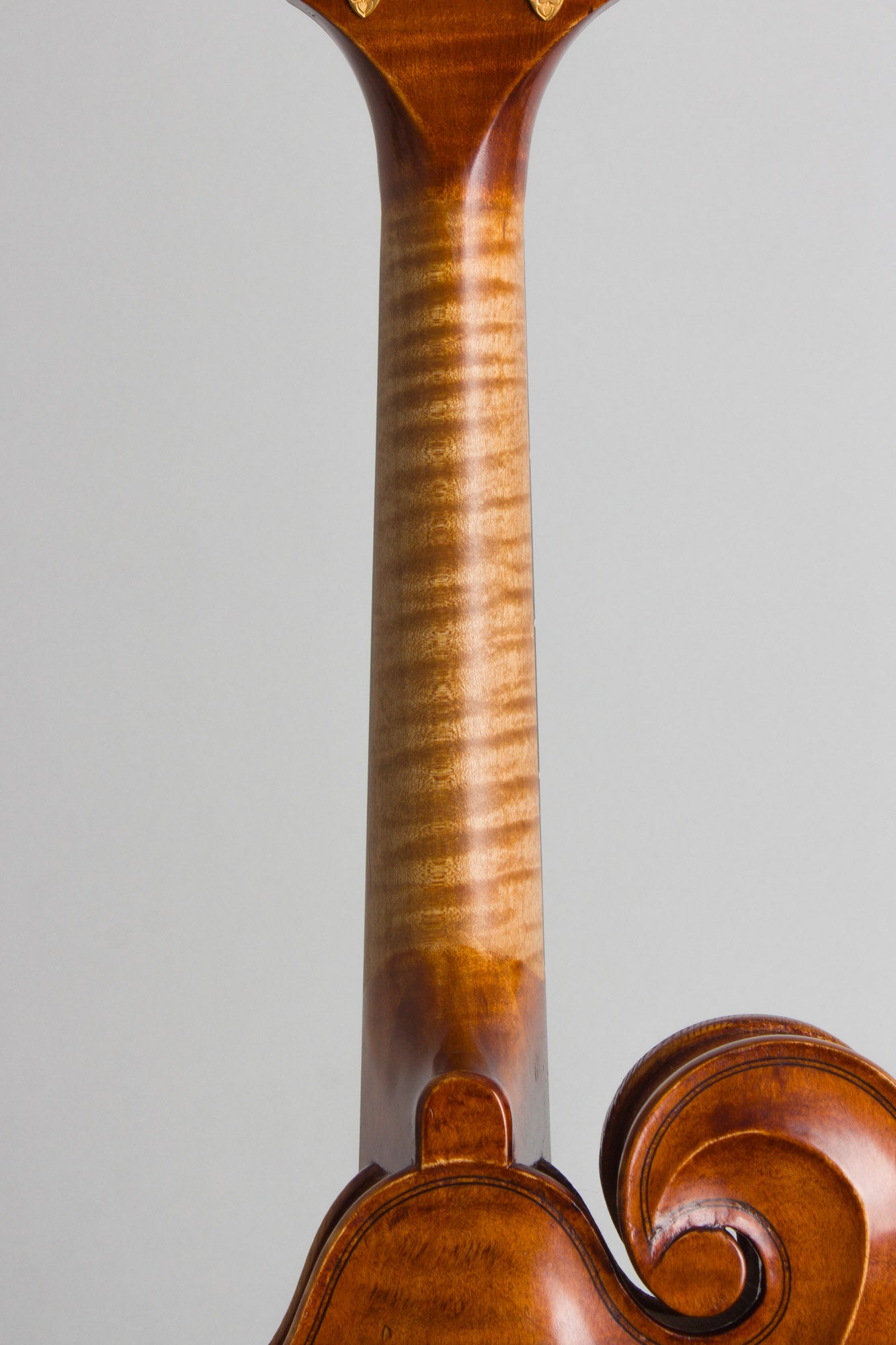 Joseph Campanella Cleary Campanella Carved Top Mandolin (2012)