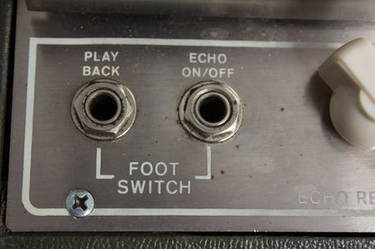 Maestro Echoplex EP-2 Echo Effect