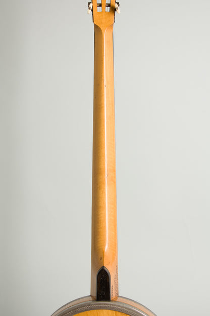 Cammeyer 5 String Zither Banjo (1909)
