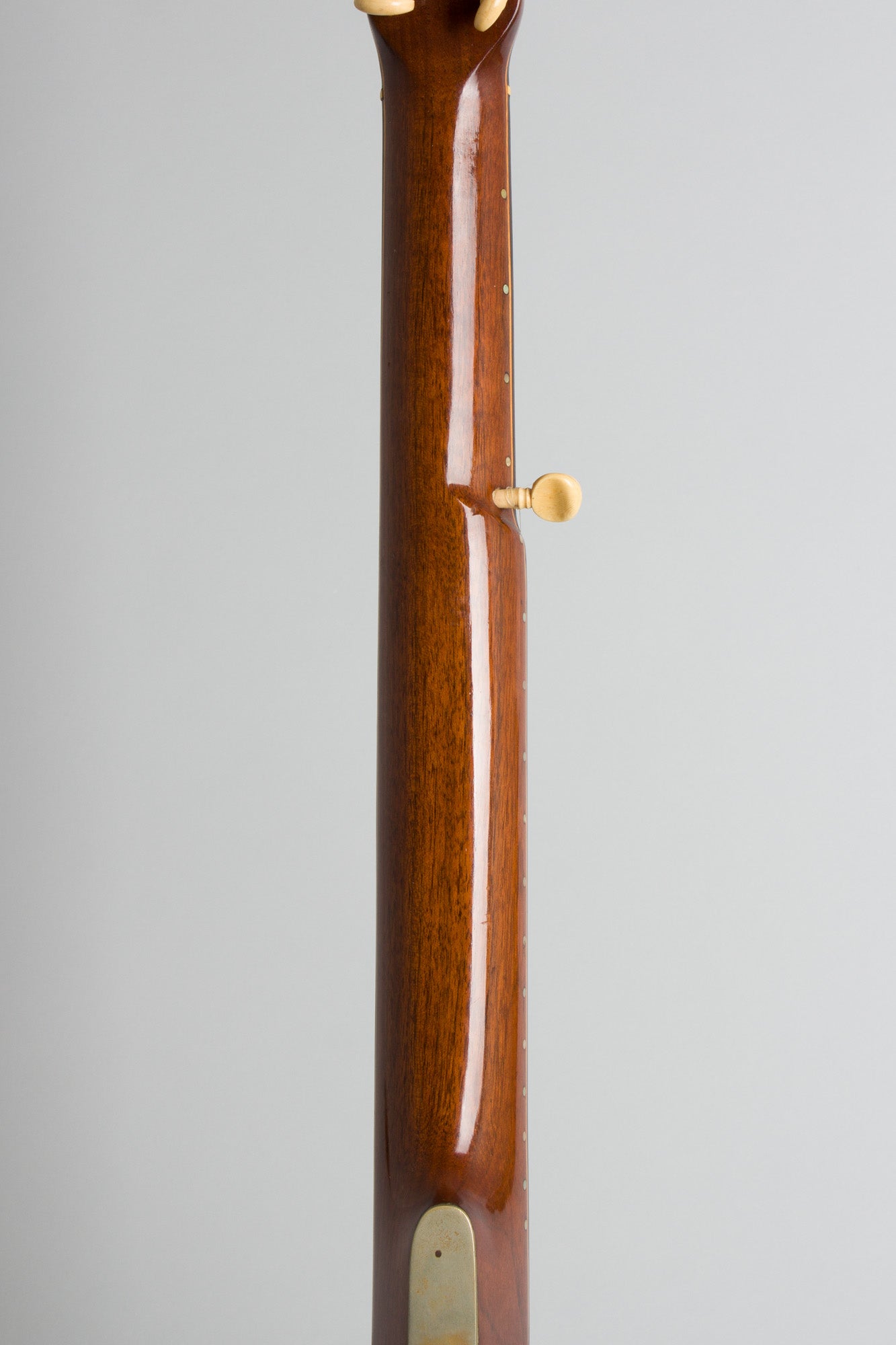 unlabelled 7 String Fretless Banjo (1890)