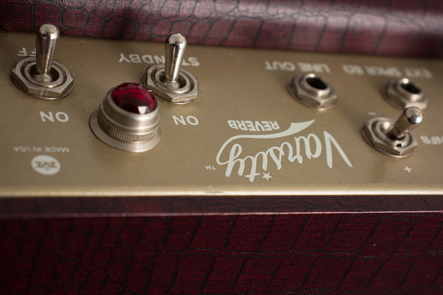 Magnatone Varsity Reverb Tube Amplifier (2013)