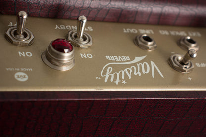 Magnatone Varsity Reverb Tube Amplifier (2013)