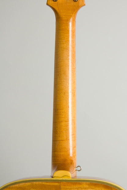 D'Angelico Excel Arch Top Acoustic Guitar (1950)