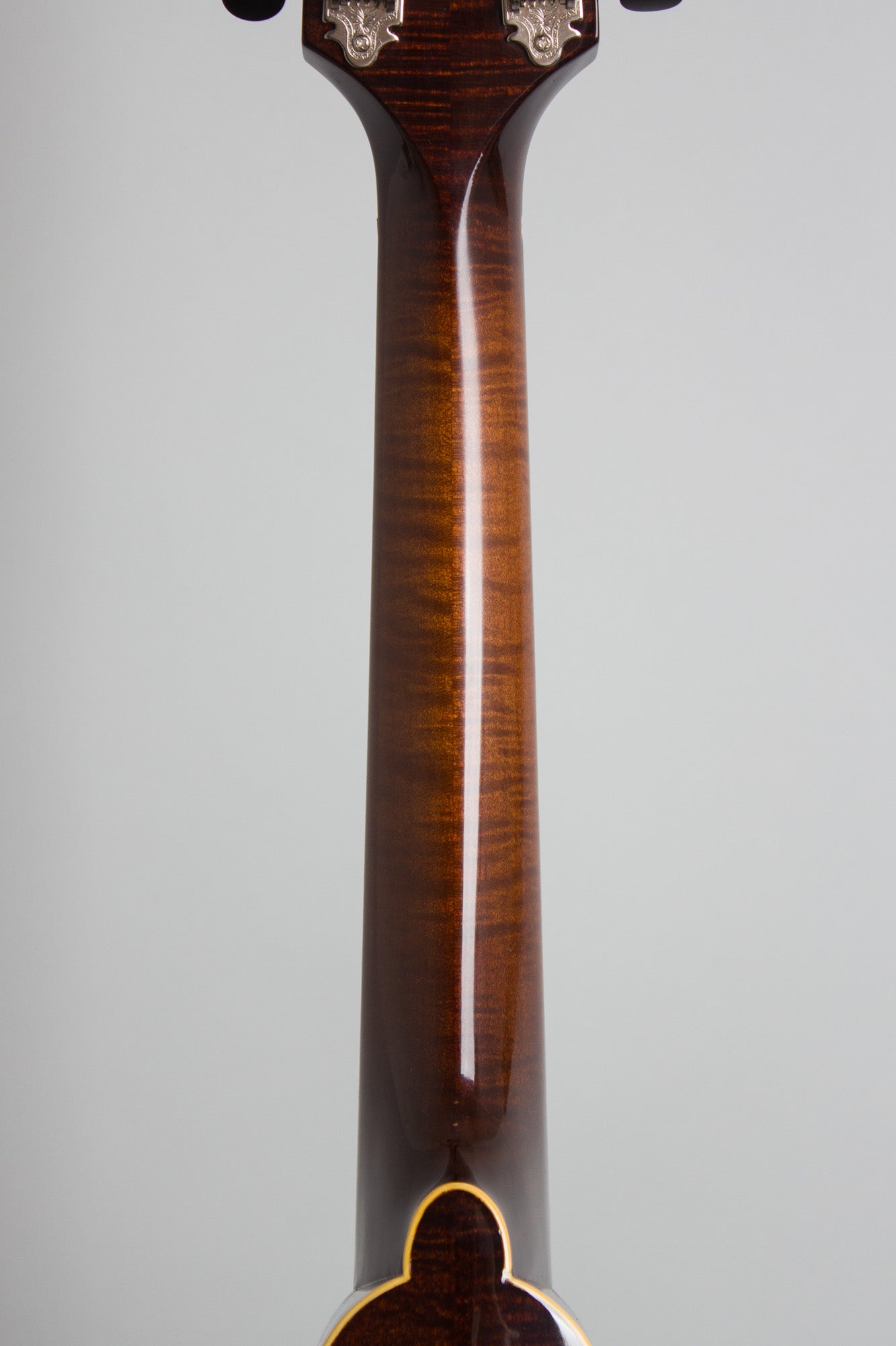 Northfield NFM-M5 Carved Top Mandola (2025)
