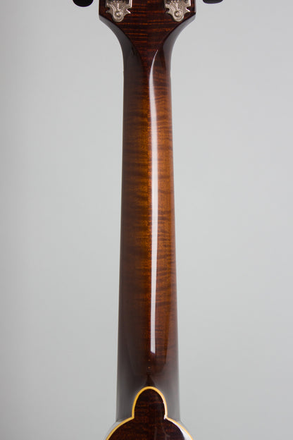 Northfield NFM-M5 Carved Top Mandola (2025)