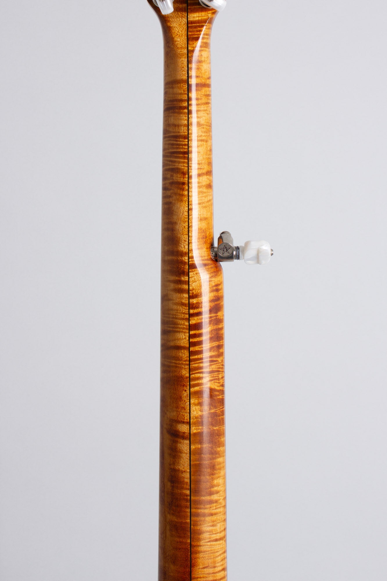 Mike Ramsey Special 5 String Banjo (2013)