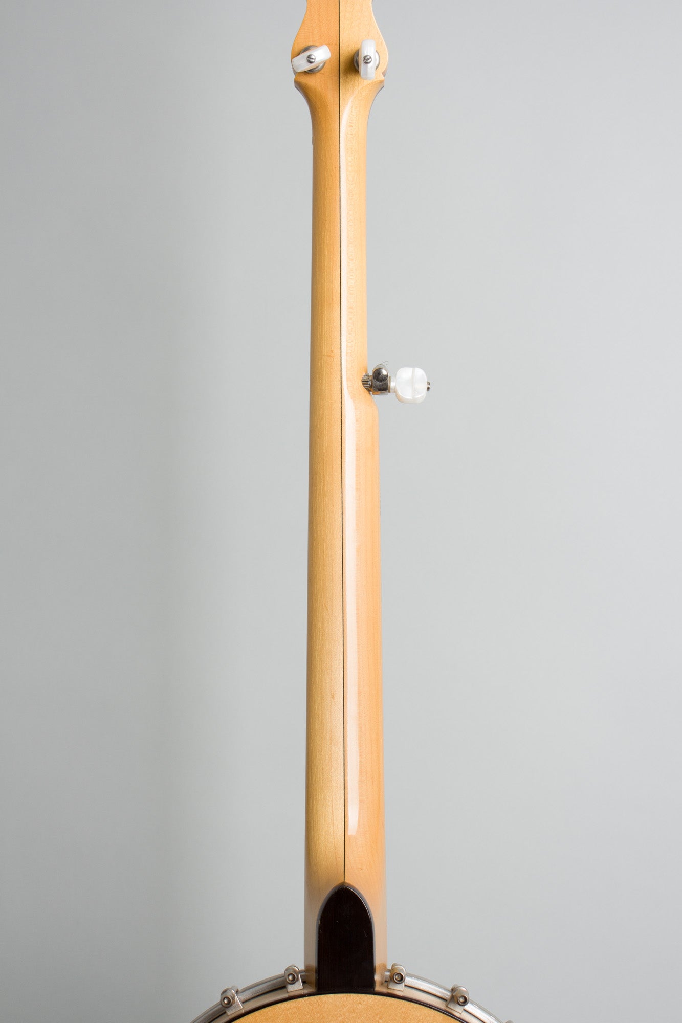 Bart Reiter Professional 5 String Banjo (1996)