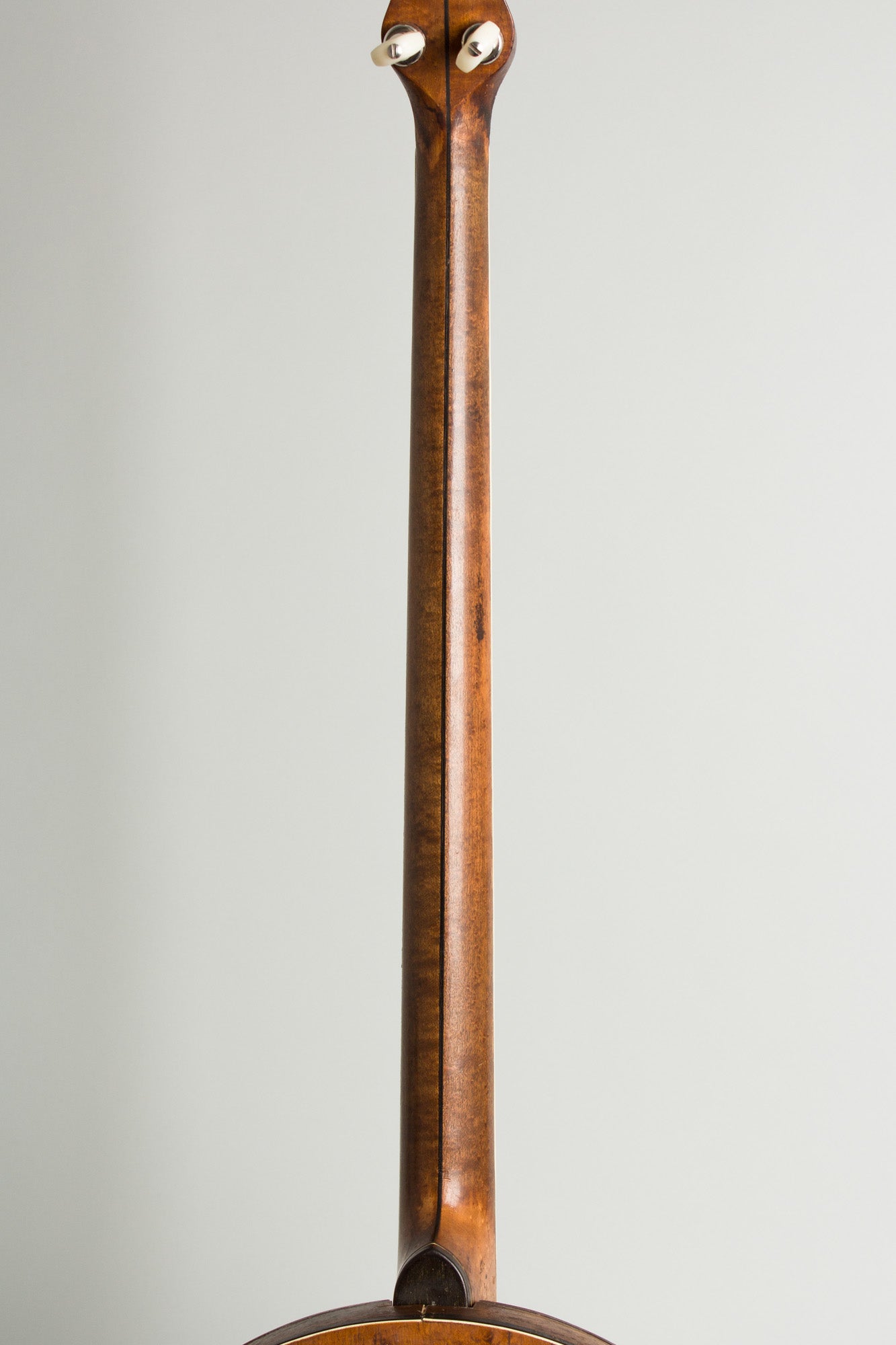 Lyon & Healy Plectrum Banjo (1925)