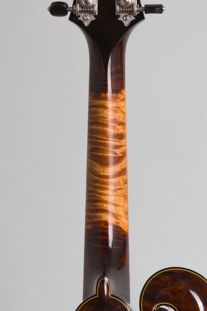 Heiden Heritage Model Carved Top Mandolin (2007)