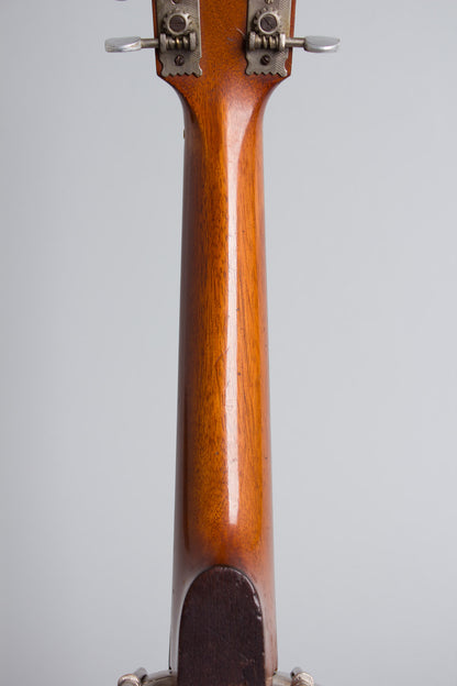 Weymann 12 string Mandolin Banjo (1911)