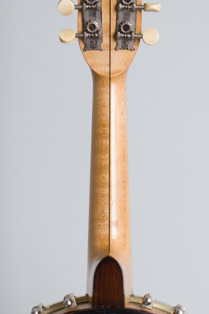 Vega Fairbanks Little Wonder Mandolin Banjo (1917)