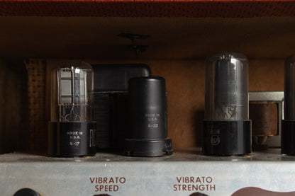 Danelectro Special Small Combo Tube Amplifier (1954)