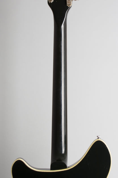 Rickenbacker Model 360/12 Thinline Hollow Body Electric Guitar (1968)