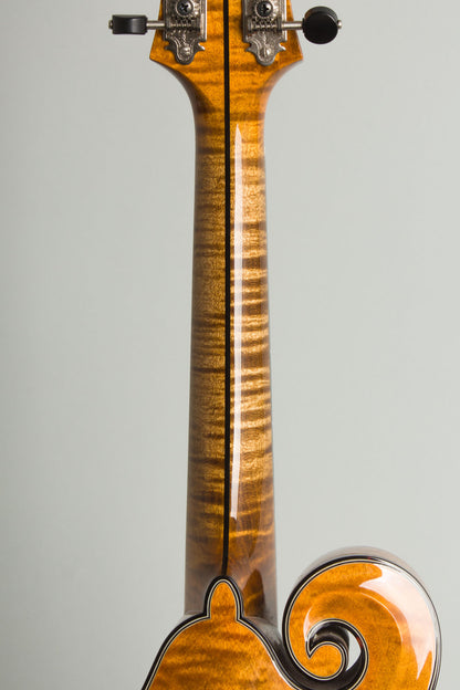 Northfield NFA-F5IE Carved Top Mandolin (2025)