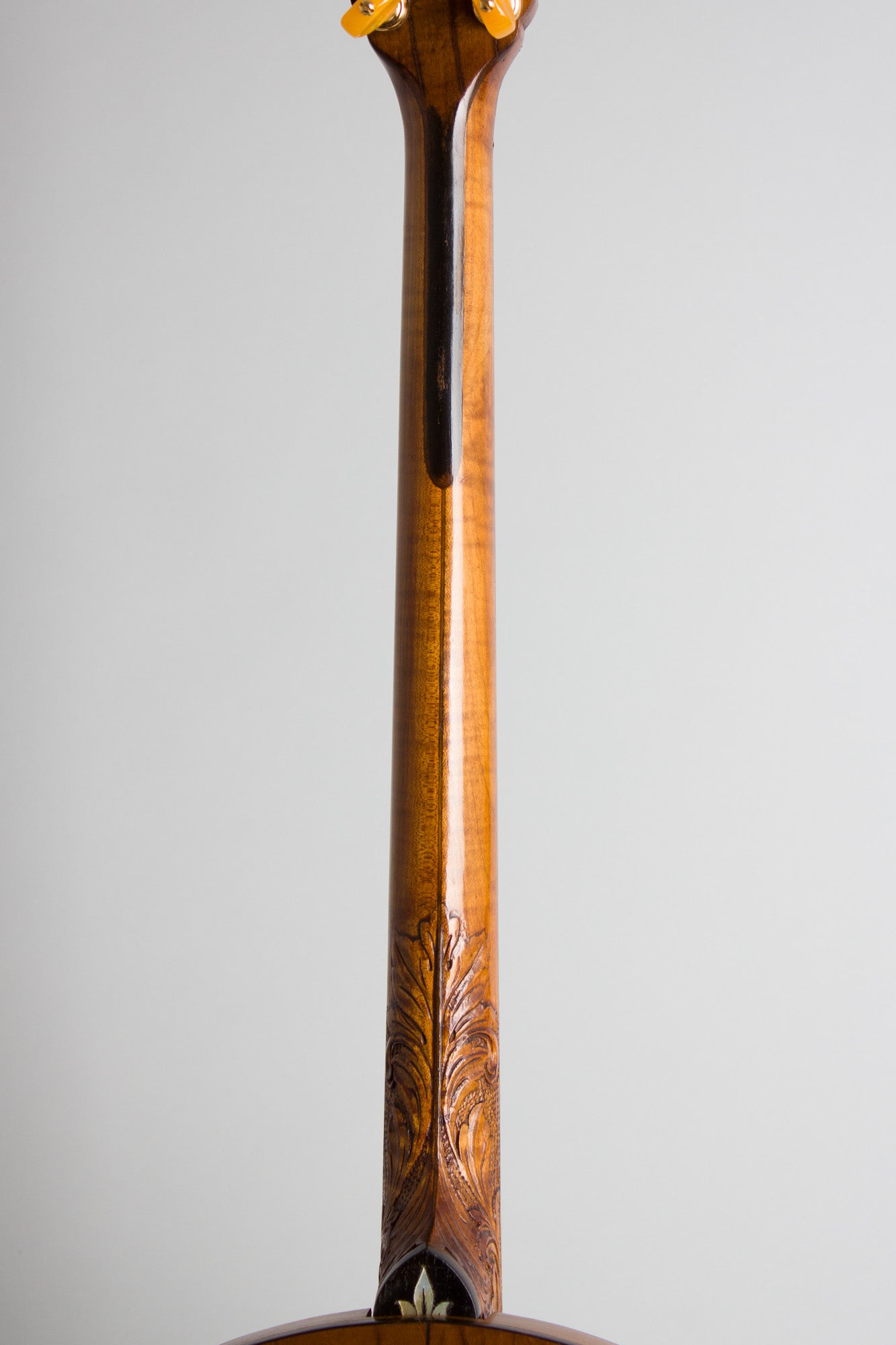 Vega Vegaphone Artist Tenor Banjo (1926)