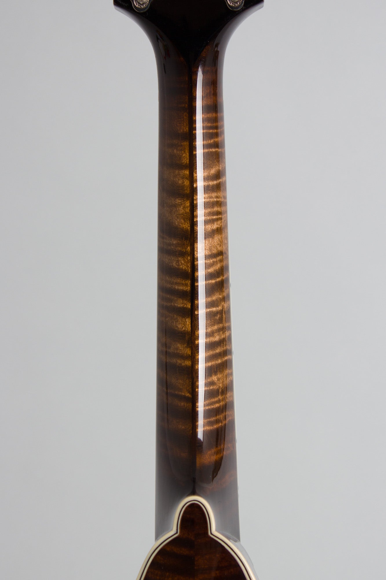 Northfield NFMSP-A5 Carved Top Mandolin (2025)