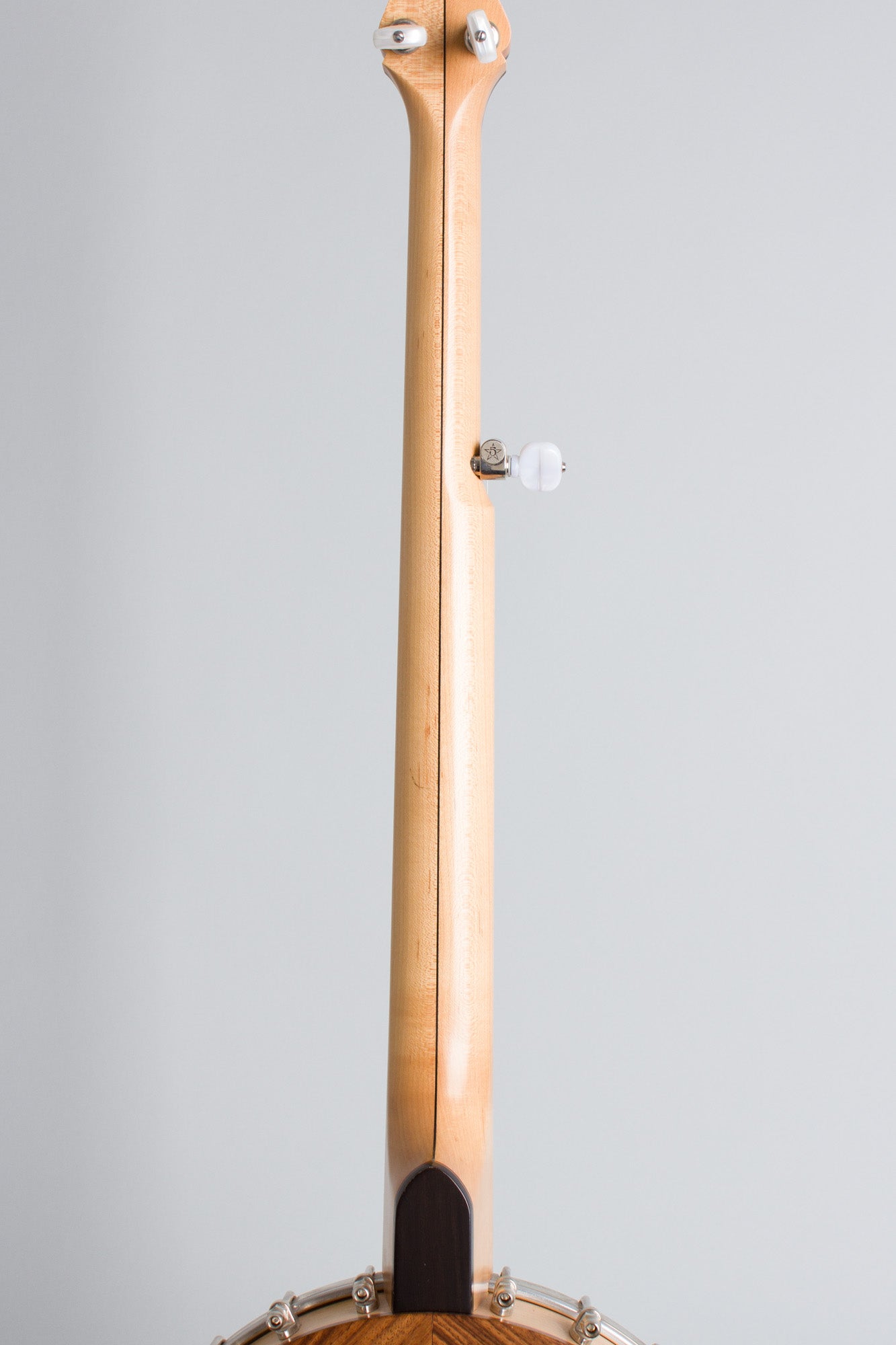 Bart Reiter Special 5 String Banjo (2017)