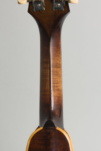 Bacon William Place Jr. Artist Model Carved Top Mandolin (1921)