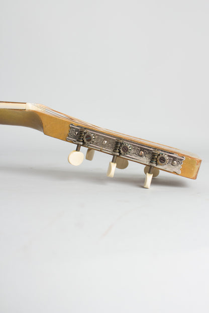 National Triolian Resophonic Guitar (1930)