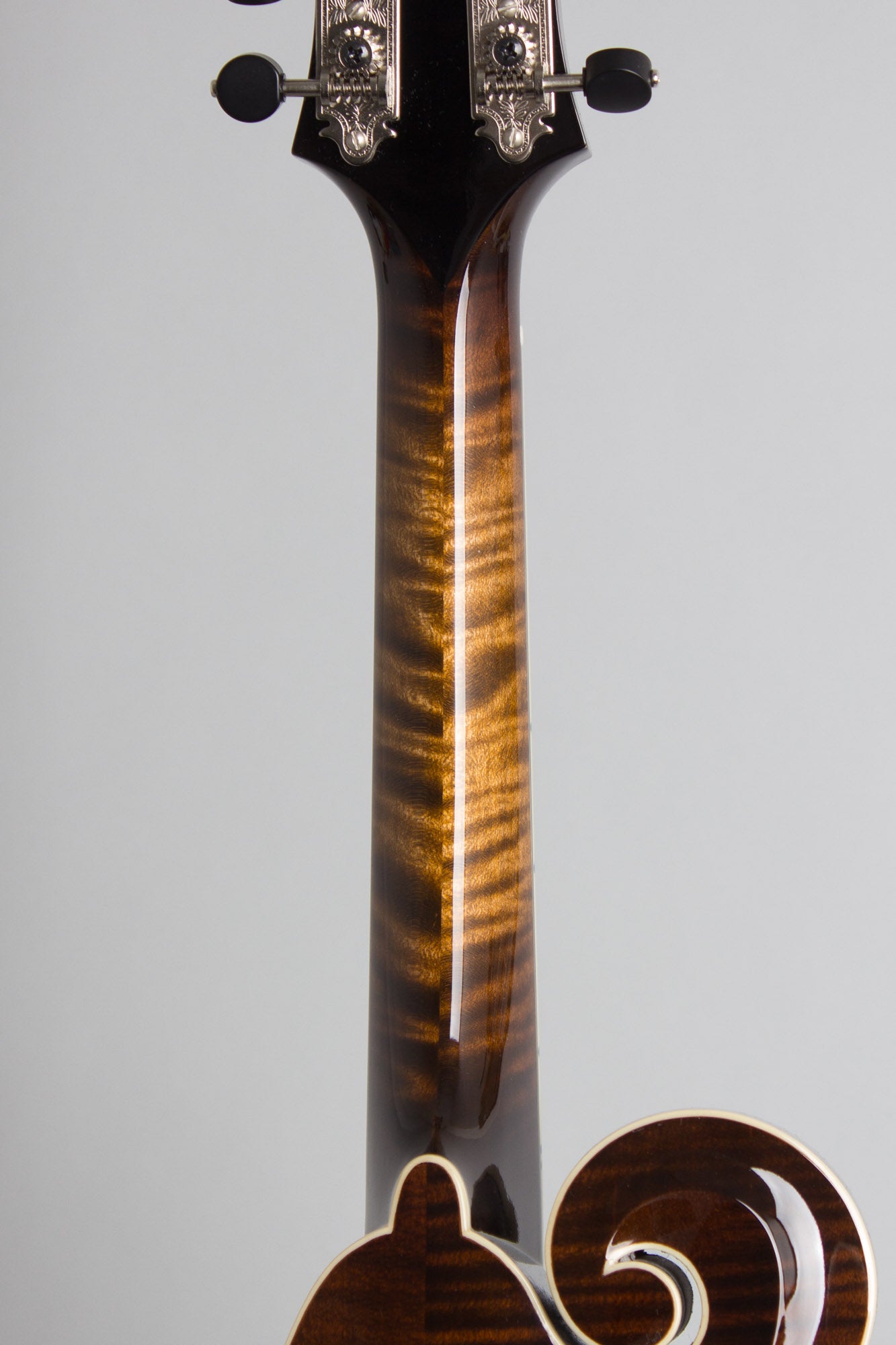 Northfield NFB-F5AWN Big Mon Carved Top Mandolin (2025)
