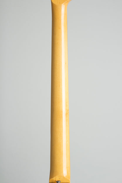 Micro-Frets Baritone/6 String Bass, Formerly owned by Walter Becker of Steely Dan Semi-Hollow Body Electric Guitar (1972)