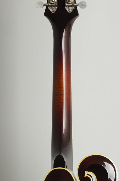 Weber Yellowstone Carved Top Mandola (2000)