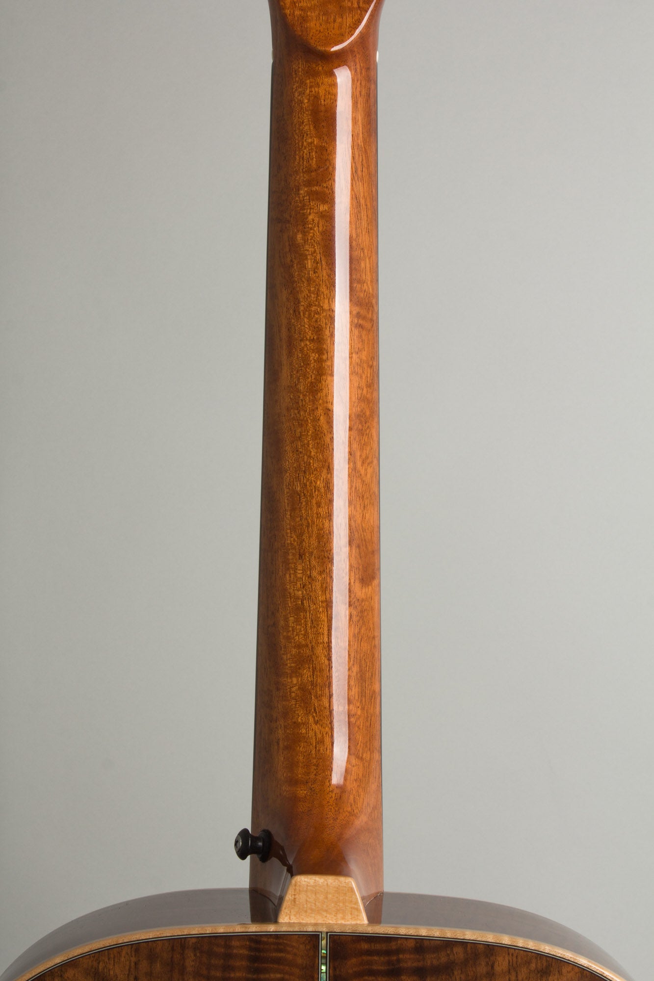 Circle Strings A-1 10 String Acoustic Flat Top Guitar (2018)
