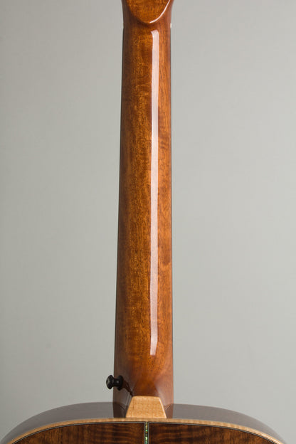 Circle Strings A-1 10 String Acoustic Flat Top Guitar (2018)