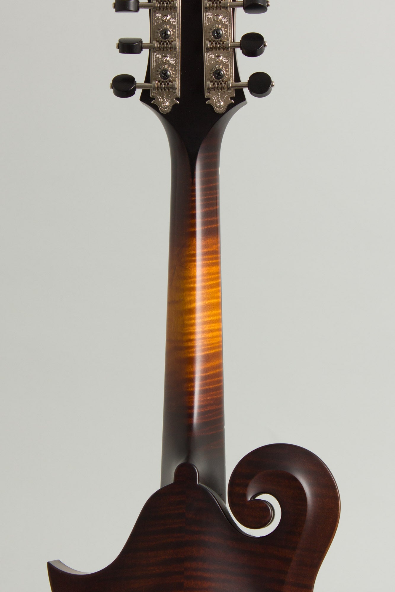 Collings MF Carved Top Mandolin (2025)