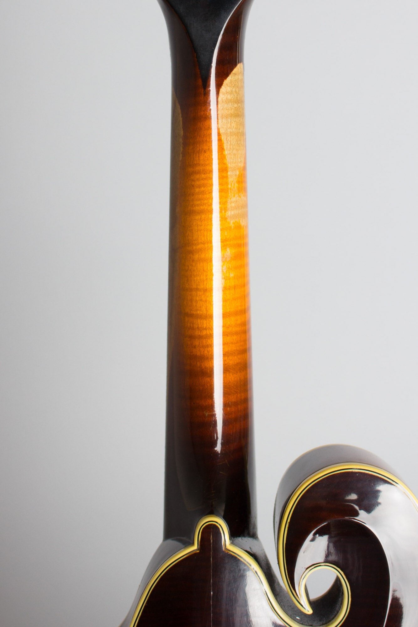 Monteleone Grand Artist Carved Top Mandolin (1982)