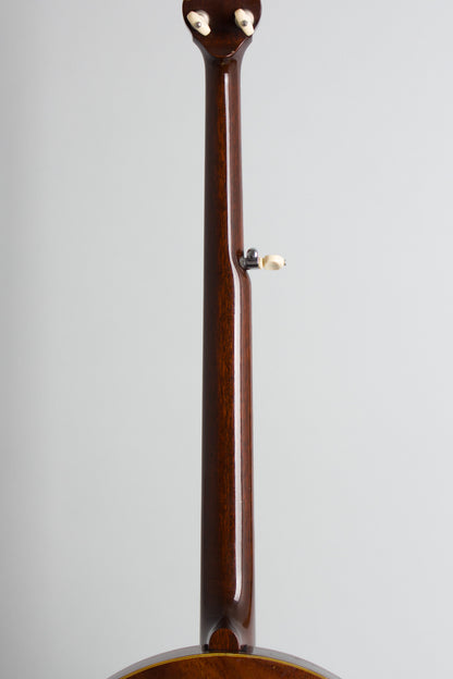 Monteleone Mastertone-style Neck on Alvarez Pot 5 String Resonator Banjo (1970/1973)
