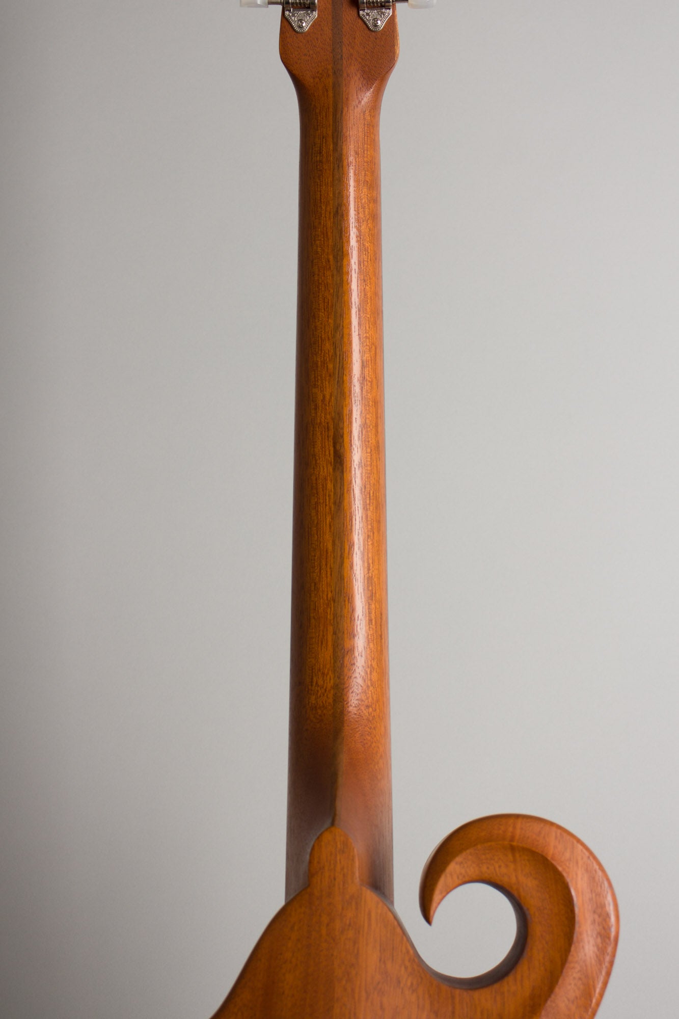 Weber Gallatin Carved Top Mandocello (2003)