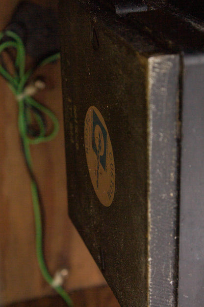 Ampeg EXB-15 Extension Speaker (1966)