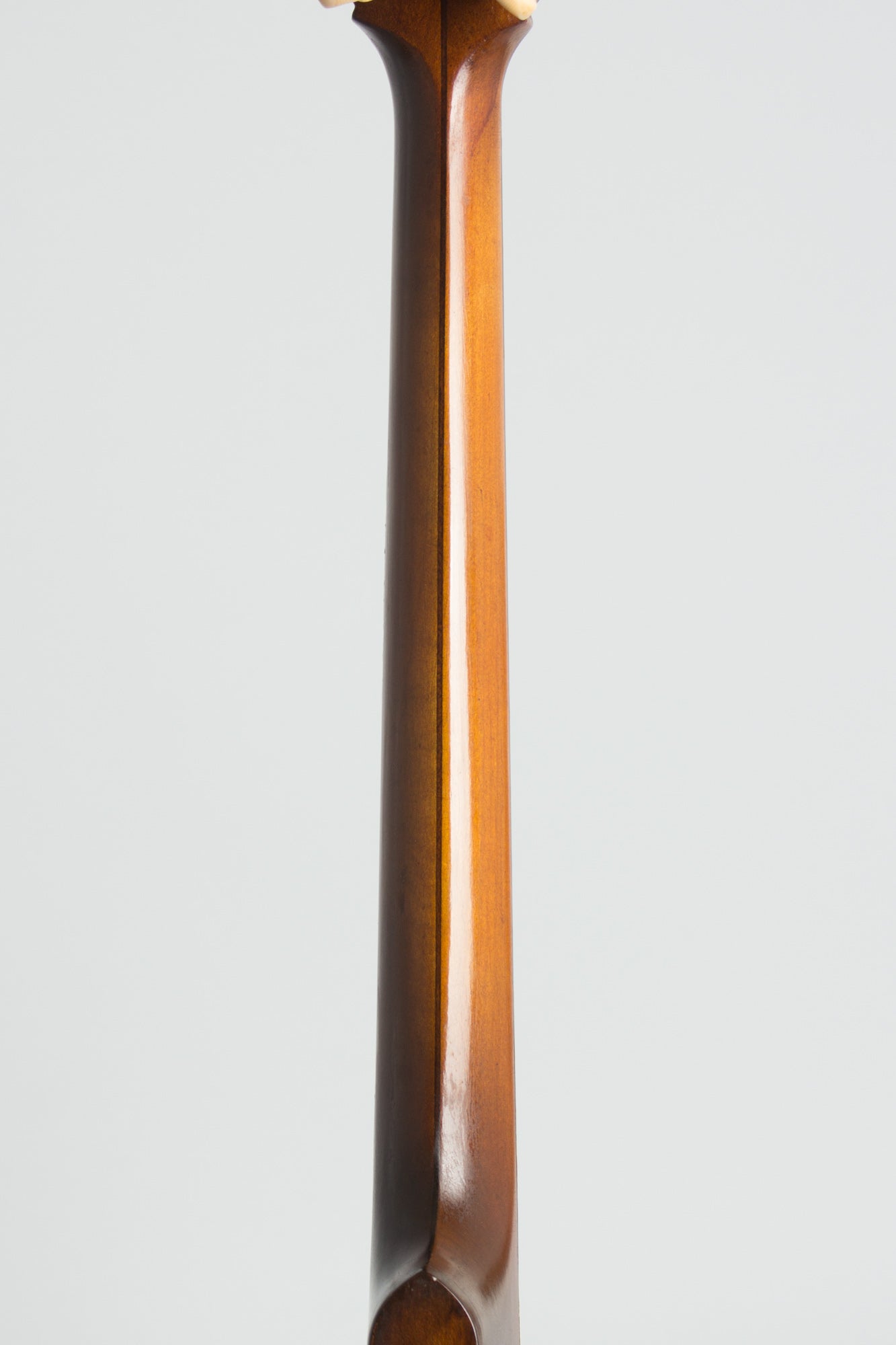 Vega Tu-Ba-Phone Style M Tenor Banjo (1926)