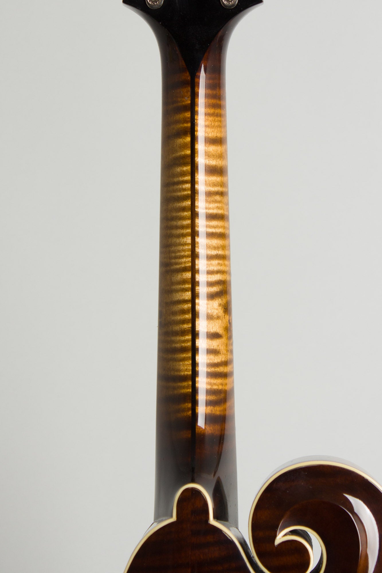 Northfield NF- Big Mon Carved Top Mandolin (2020)
